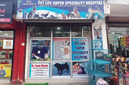 Dr. Varun’s Pet Life Super Speciality Hospital in Udhampur offers expert pet care, free treatment for street animals, and advanced veterinary services.